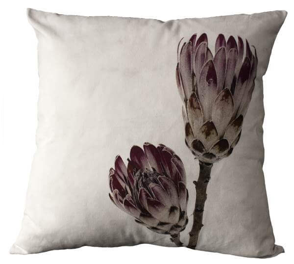 scatter cushion ice protea print